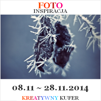 http://kreatywnykufer.blogspot.com/2014/11/wyzwanie-foto-inspiracja-4.html