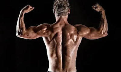 مدة ظهور العضلات للرياضيين- وتسريع مدة ظهور العضلات