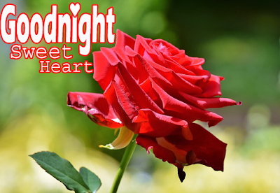 good night images with love-good night image hd