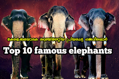 Most popular elephant in Kerala