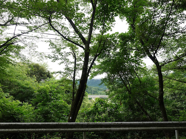 鳥取県西伯郡南部町下中谷　遊歩道からの眺望