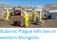 https://sciencythoughts.blogspot.com/2019/05/bubonic-plague-kills-two-in-western.html