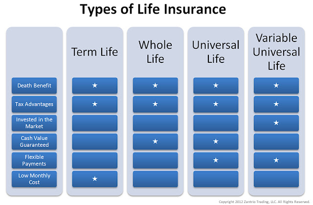 Types of Life Insurance