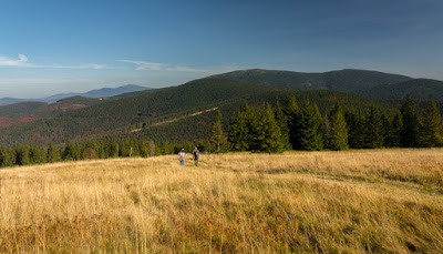 Boracza - Lipowska - Rysianka, Beskid Żywiecki