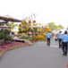 View album