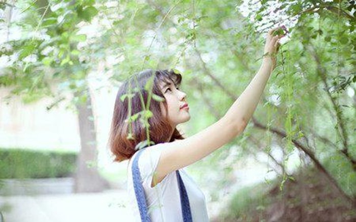 clip_image001