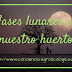 Las fases lunares, la agricultura y su influencia en las plantas