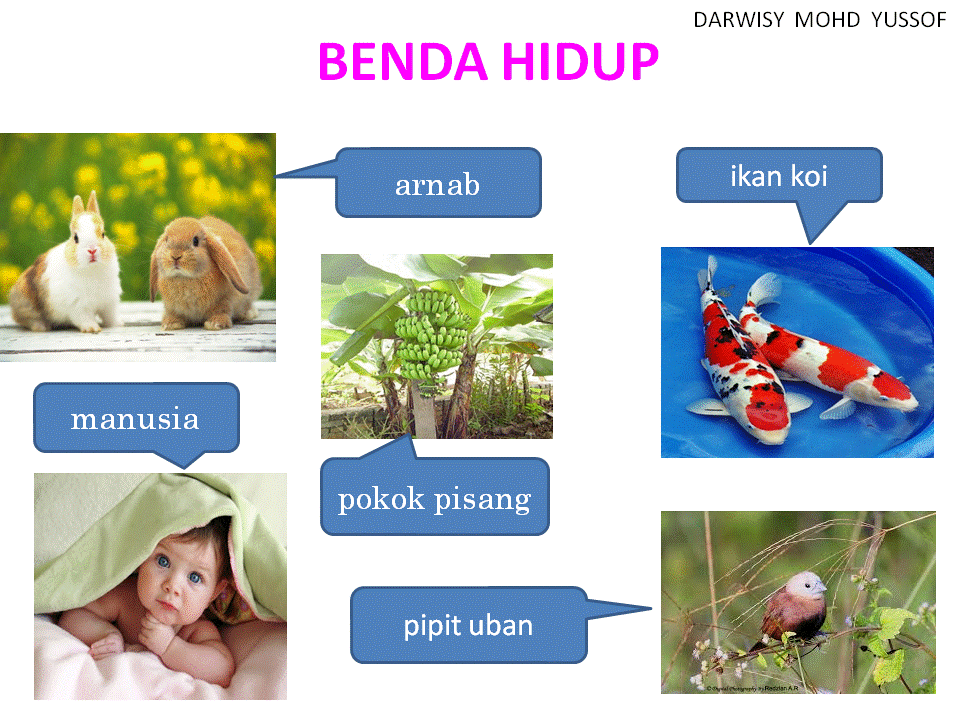 Dunia Sains dan Teknologi (Belajar dengan Ceria): DST 