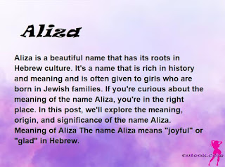 meaning of the name "Aliza"