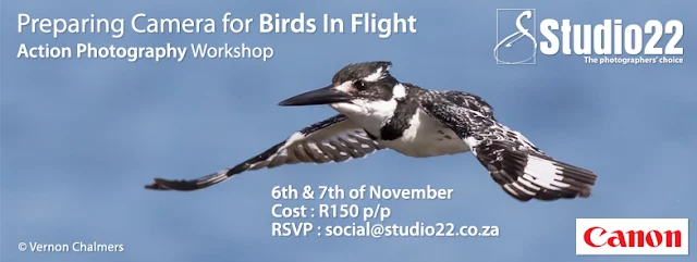 Preparing your Camera for Birds in Flight Workshop Cape Town by Vernon Chalmers
