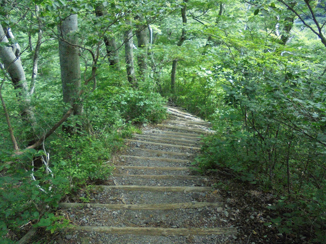 行者別れから行者登山道を降ります