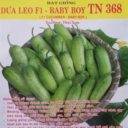 Hạt giống Dưa leo baby F1 Baby Boy TN 368 - Gói 10gr