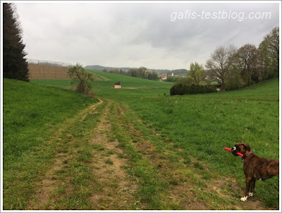 Osterspaziergang rund um die kleinen Kapellen