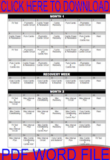 Insanity Workout Calendar