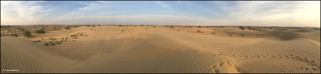 Lonely but lovely Thar Desert