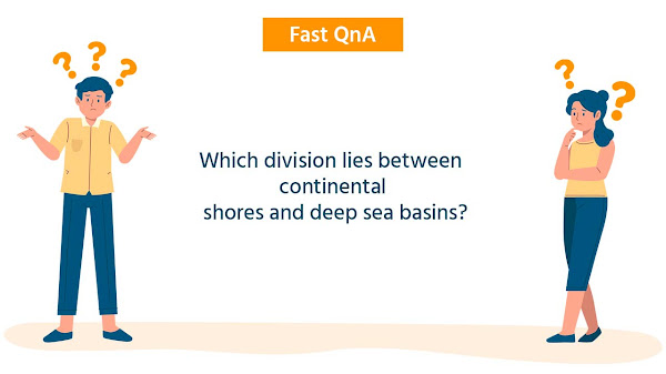 Which division lies between continental shores and deep sea basins?