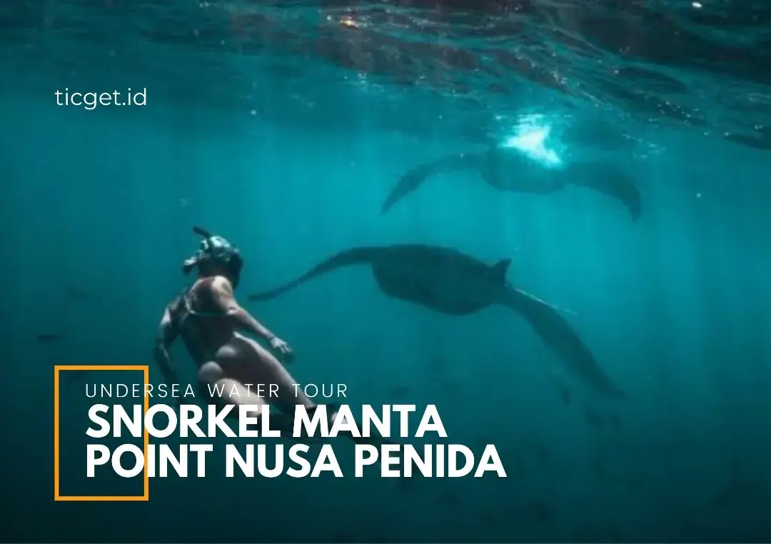 snorkel-manta-point-nusa-penida-booking-ticket