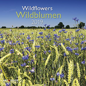Wildblumen 2019: Wandkalender Art & Image