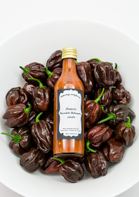 Chocolate habanero sauce - homemade with chili in bowl