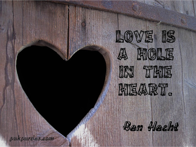 Love is a hole in the heart. - Ben Hecht,love,quotes,love quotes,best love quotes,love quotes for him,quotes about love,love quotes and sayings,short love quotes,romantic quotes,movie love quotes,love (quotation subject),quotes about life,love quotes for her,inspirational quotes,famous quotes,love shayari,what is love,sad love quotes,sad love quotes for boys,sad love quotes for girls,short love quotes for him
