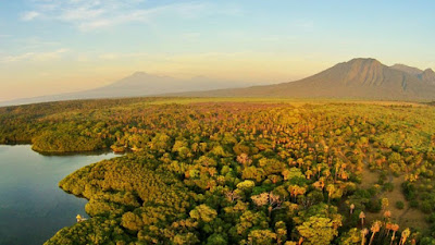 Pemandangan di Taman Nasional Baluran Jawa Timur