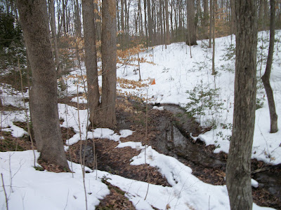 CVOC Orienteering Rockwood Park