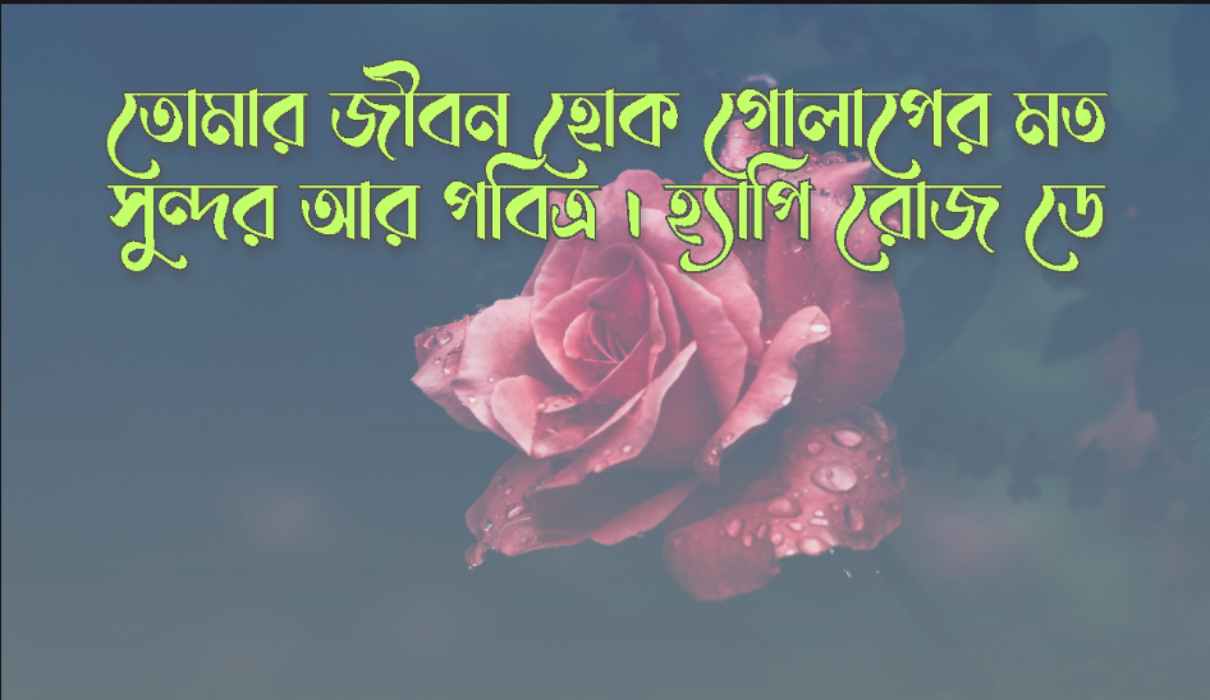 Rose Day Best Wishes Sms In Bengali 2023 রোজ ডে শুভেচ্ছা