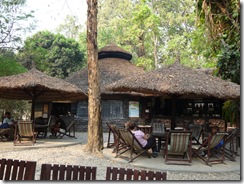 P1010379