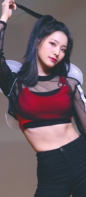 Lee Saerom (이새롬) is the Leader, Lead Dancer, Rapper, and Visual of the Pledis Entertainment girl group Fromis 9. She came in third place on the reality show "Idol School" with 71,037 votes, earning her a position in the group.