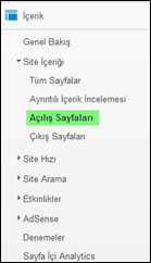 Google Analytics Site İçeriği