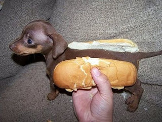 Funny Real Hot Dogs Photos 2011 | Funny Animals
