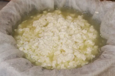 Draining paneer curds in a cheesecloth.