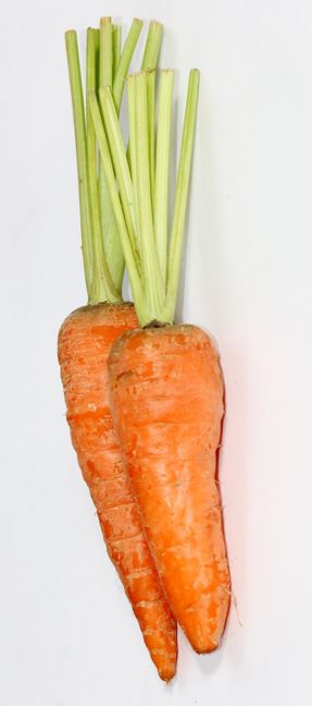 Carrot Vitamins and Minerals