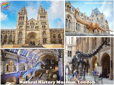 Things to do in London, England