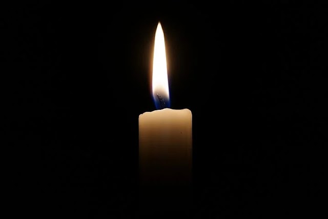 Combustion And Flame