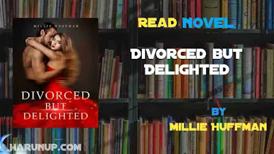 Divorced but Delighted Novel