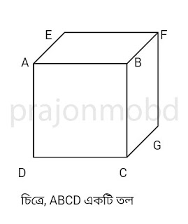 তল কাকে বলে? তল কতো প্রকার ও কি কি?