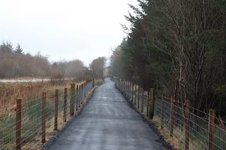 Asphalt path with chicken wire fence on each edge. To the right of the path are large evergreen trees. To the left of the path is long brown grass.