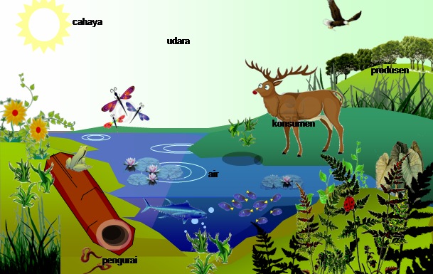 Komponen-Komponen Penyusun Ekosistem - Info Pendidikan dan 