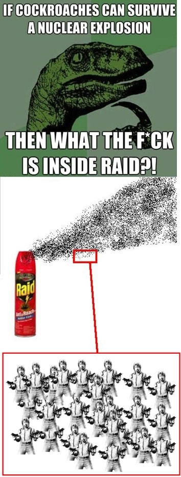 raids secret