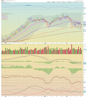 Daily Index Cycle Update