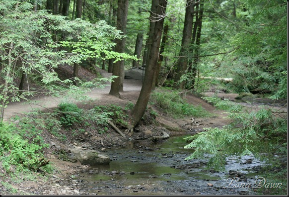 CedarFalls_Trail