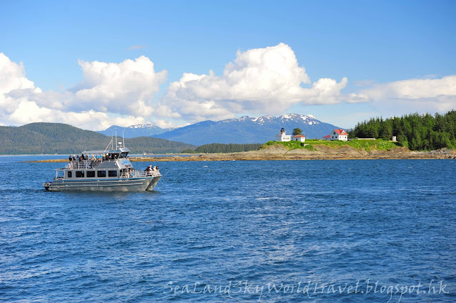 朱諾, Juneau Whale watching, 觀鯨團