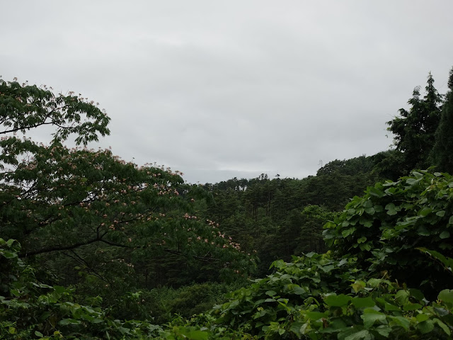 鳥取県道299号赤松淀江線　鳥取県西伯郡大山町赤松