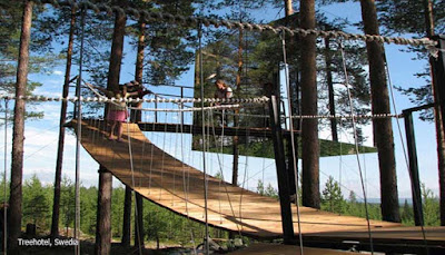 Treehotel, Swedia 