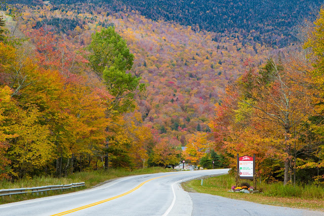 Foliage al Monte Mansfield