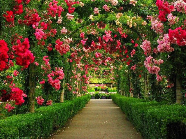 Beautiful Gardens