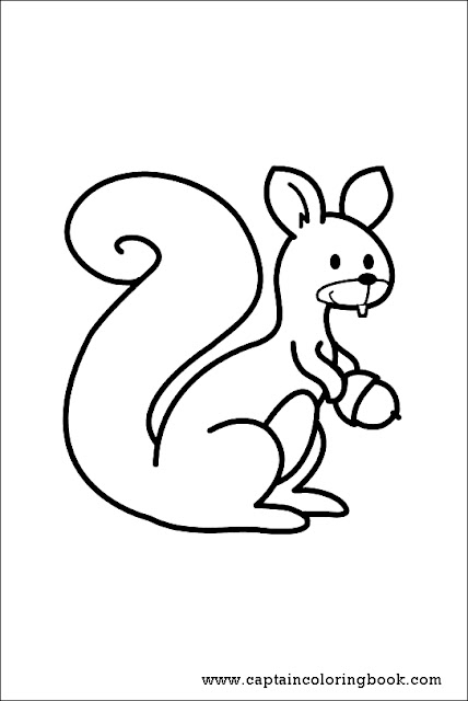 Squirrel coloring