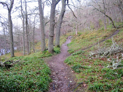 Deeside walks: the path along the railway line from Ballater by the River Dee