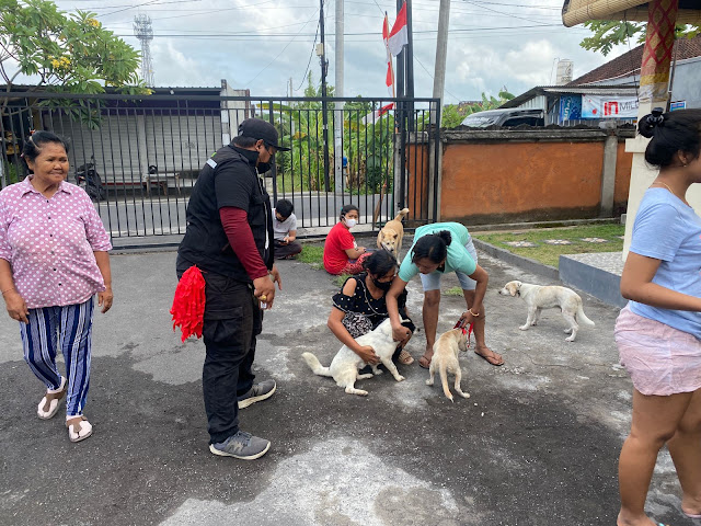    Cegah Penularan Rabies, Kelurahan Padangsambian Giatkan Vaksinasi di Dua Wilayah